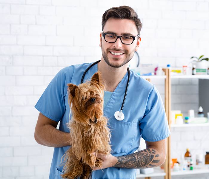 Kleiner Hund auf dem Behandlungstisch