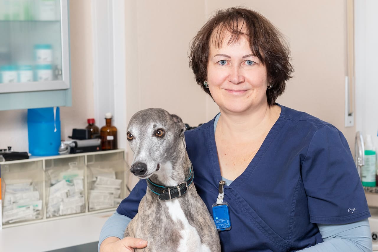 Tierärztin Elke Schüffelgen mit ihrem Whippet Cooper