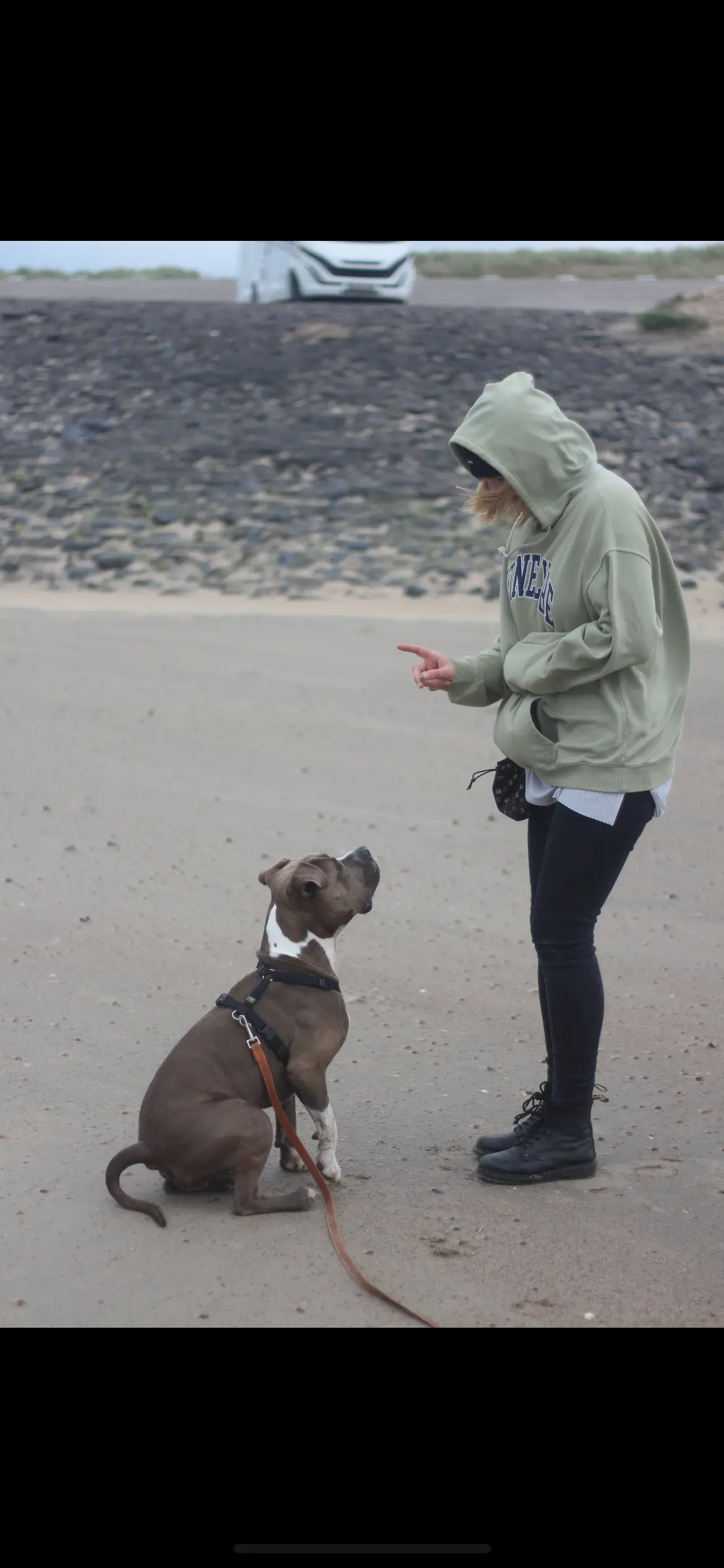 Svenja Rosebrock und Maze am Meer