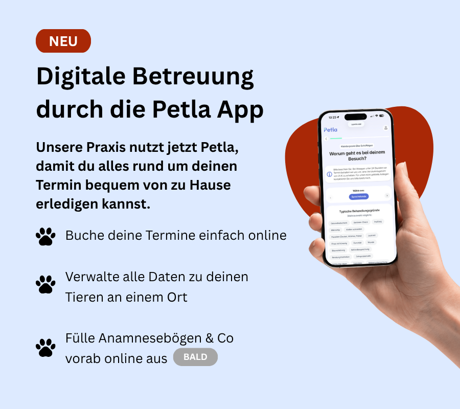 Bisherige Anleitung zur mobilen Terminbuchung